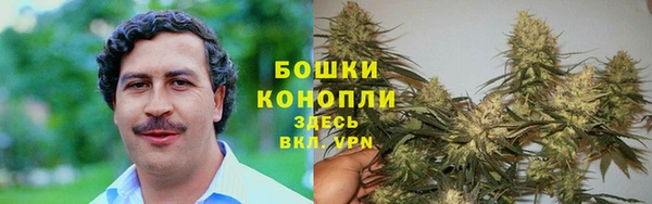 ПСИЛОЦИБИНОВЫЕ ГРИБЫ Сатка