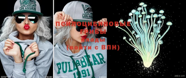 прущая мука Богородицк