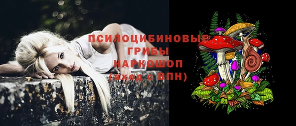 прущая мука Богородицк