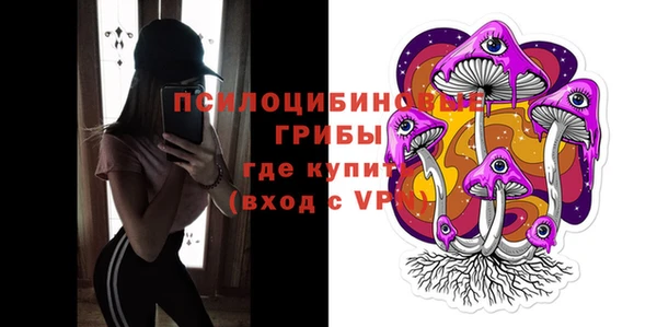 соль ск Богородск